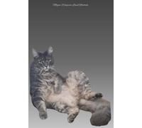 Megan Wingrove Notebook | A5 Lined Paper | 200 Pages | Paperback | Just Chilling Comfy Cat Cover: Suitable for all ages