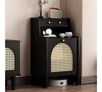 MegLob Dexule Mobile Porta Aspirapolvere Robot, Stazione Base E Credenza Per Robot Aspirapolvere Multifunzione, Scaffale Pulitore Con Ruote Invisibili, Per Soggiorno,Black 45cm width