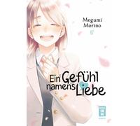 Megumi Morino Yayoi Okada-Willmann Ein Gefühl namens Liebe 17 (Tascabile)