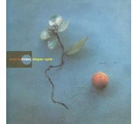 Mehldau Brad - Elegiac Cycle
