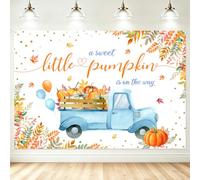 MEHOFOND 2,1 x 1,5 m zucca baby shower sfondo Una dolce piccola zucca è sulla strada blu auto autunno foglie fotografia sfondo per neonato doccia festa decorazione torta tavolo banner foto stand