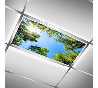 MEHOM Luci fluorescenti per aula e ufficio, treetop Blue Sky LED Plafoniera copertura lucernario pellicola filtro goccia soffitto fluorescente decorativo - 2'x4'