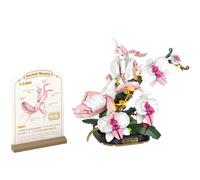 MEIEST Set di blocchi di costruzione a forma di fiore di insetto, giocattolo colorato con una carta di divulgazione scientifica, decorazione creativa per la casa (Orchidea)