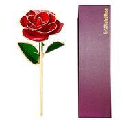MEILVMEIJI Rose secche in oro placcato 24 K con scatola e supporto