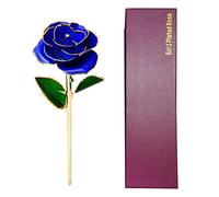 MEILVMEIJI Rose secche in oro placcato 24 K con scatola e supporto