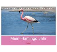 Mein Flamingo Jahr (Tischkalender 2026 DIN A5 quer), CALVENDO Monatskalender: Trendtier Flamingo - Die pinke Schönheit auf Stelzen