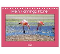 Mein Flamingo Planer (Tischkalender 2026 DIN A5 quer), CALVENDO Monatskalender: Das perfekte Geschenk für alle Flamingo Fans - Kalender Planer und Organizer