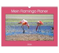 Mein Flamingo Planer (Wandkalender 2026 DIN A3 quer), CALVENDO Monatskalender: Das perfekte Geschenk für alle Flamingo Fans - Kalender Planer und Organizer