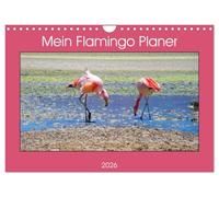 Mein Flamingo Planer (Wandkalender 2026 DIN A4 quer), CALVENDO Monatskalender: Das perfekte Geschenk für alle Flamingo Fans - Kalender Planer und Organizer