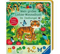 Sandra Grimm Federica Mein großes Lichter-Wimmelbuch: Im Dsc (Copertina rigida)
