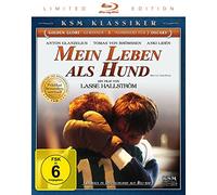 Mein Leben als Hund - KSM Klassiker