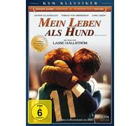Mein Leben als Hund - KSM Klassiker