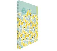 Mein Lehrerplaner A4+ - Ringbindung - Lehrerkalender für das Schuljahr 2026/2027 - Zitronentanz: Schulplaner für Lehrerinnen und Lehrer