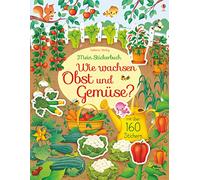 Mein Stickerbuch: Wie wachsen Obst und Gemüse?