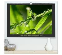 Meine kleine grüne Wassertropfen Welt (hochwertiger Premium Wandkalender 2026 DIN A2 quer), Kunstdruck in Hochglanz: Faszination Tropfen