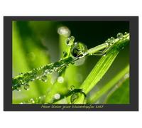 Meine kleine grüne Wassertropfen Welt (Tischkalender 2026 DIN A5 quer), CALVENDO Monatskalender: Faszination Tropfen