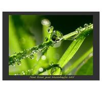 Meine kleine grüne Wassertropfen Welt (Wandkalender 2026 DIN A2 quer), CALVENDO Monatskalender: Faszination Tropfen