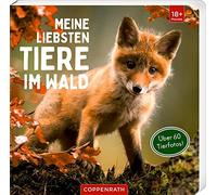 Meine liebsten Tiere im Wald (Tascabile)