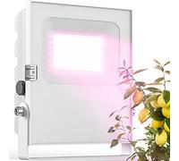 Meine Orangerie - Lampada per piante a LED per lo svernamento delle piante mediterranee - Sviluppata con esperti di piante di agrumi a spettro completo (50)