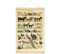 Meishe Art Poster Print Domestic Animal Species Collection Vintage Illustrazione Tabella di Riferimento Fowl Bestiame Pollame Cavallo Cane Pavone Mucca Gallo Cigno Incorniciato Home Wall Decor