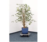 MEISTER CARRELLO 822.040