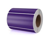 Meitaat Adesivi rettangolari viola 100 x 50 mm Etichette autoadesive con codifica a colori Rotolo mobile rimovibile Confezione da 500