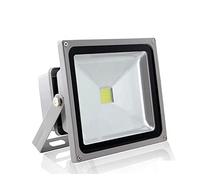 MEIVIYA Faretto a LED 1 pezzo 1 0W 20W 30W 50W 100W Ad alta potenza PORTATO Illuminazione lampadina illuminazione esterna del punto di alluvione luminoso omni(Cold White,20W)