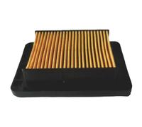 Meiwa Filtro Dell´aria Voge Trofeo 350 Ac E5
