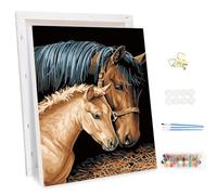 MEIYUDA Dipingere con i Numeri Adulti con Telaio Cavalli, Animale Kit di Pittura Acrilica Fai-da-Te per Adulti Principianti Facile su Te, Paint by Numbers Pittura Decora la Casa Regalo 30x40cm