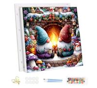 MEIYUDA Natale Dipingere con i Numeri Adulti con Telaio, Gnomo fai da te Paint by Numbers Quadri da Dipingere Numerat, Pittura a Olio Kit, Pittura Adulti Decora la Casa Regalo 25x25cm