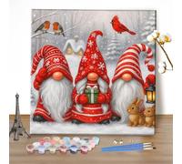 MEIYUDA Natale Dipingere con i Numeri Adulti, Gnomo Pittura a Olio Kit Paint by Numbers, fai da te Quadri da Dipingere Numerat, Pittura Adulti Decora la Casa Regalo 40x40cm(Senza Cornice)