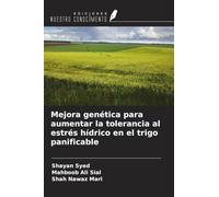 Mejora genética para aumentar la tolerancia al estrés hídrico en el trigo panificable