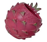 Mekalero Vasi per piante grasse con foro di drenaggio, fioriera Pitaya per interni/esterni, graziosi vasi da fiori per cactus/bonsai, per decorazioni da giardino e piante grasse, contenitore per