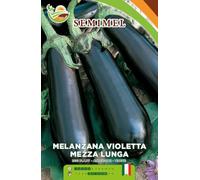 Melanzana Mezza Lunga Violetta - Semi di Melanzana Viola Allungata, Pianta Vigorosa, Frutti Ciclici e Prolungati 3 confezioni