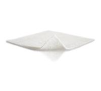 Molnlycke Health Care Melgisorb Ag Medicazione Con Carbossilmetilcellulosa E Ioni D'argento 10 X 10 Cm 10 Pezzi