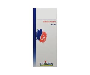 Melilotus Off 60 Ml Tintura Madre