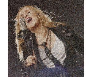 Melissa Etheridge This Is M.E. (CD)