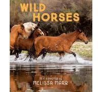 Melissa Marr Wild Horses (Copertina rigida)
