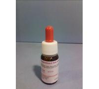 MELISSA RETTIFICATA OLIO ESSENZIALE