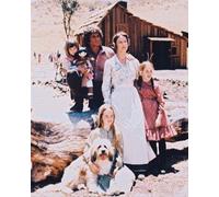 Melissa S Anderson Come Mary Ingalls Poster Stampa 61x50.8cm Great Image 26949