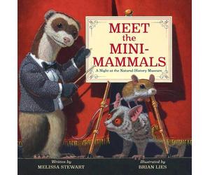Melissa Stewart Meet the Mini-Mammals (Copertina rigida)