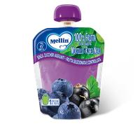 POUCH MIRTILLO RIBES 90G