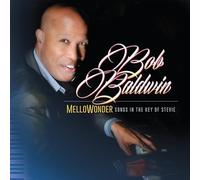 Bob Baldwin Mellowonder: Songs in the Key of Stevie (Vinyl LP) 12" Album