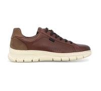 Melluso Sneakers Uomo Allacciata in Pelle Marrone u55382q 39