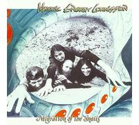 Melodic Energy Commi - Migration Of The Snails