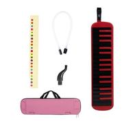 Melodica Musical Instrument Air Piano Keyboard Melodica con borsa per il trasporto Boccaglio tasto adesivo tubi lunghi pianoforte aria tastiera soprano