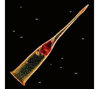 melodies of atonement-Import USA