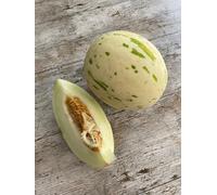 Melone al miele Snowball 10 semi