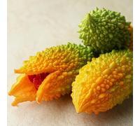 melone amaro zucca amara resistente alla siccità per i luoghi 40semi