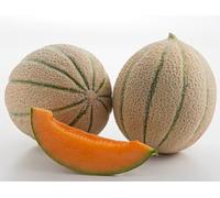 MELONE CANTALUPO HALES BEST JUMBO NR.70 SEMI